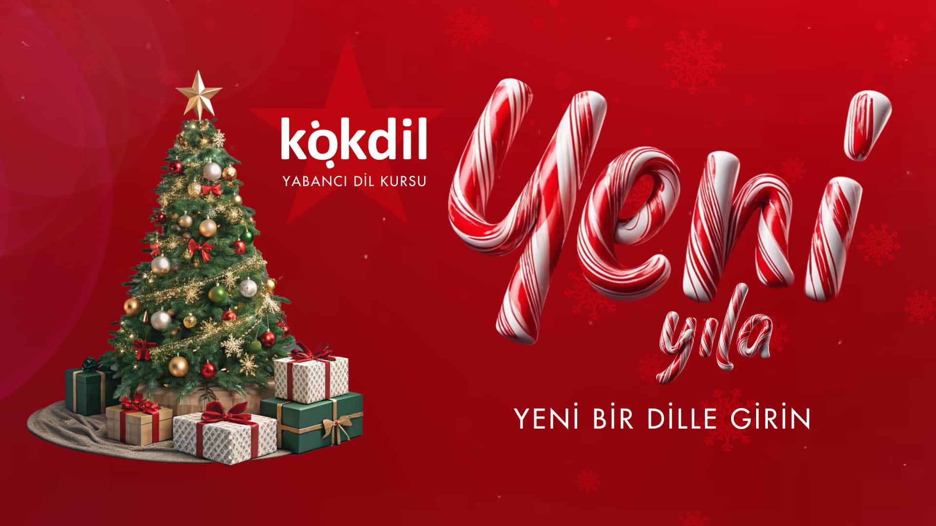 yeni yıl_00900